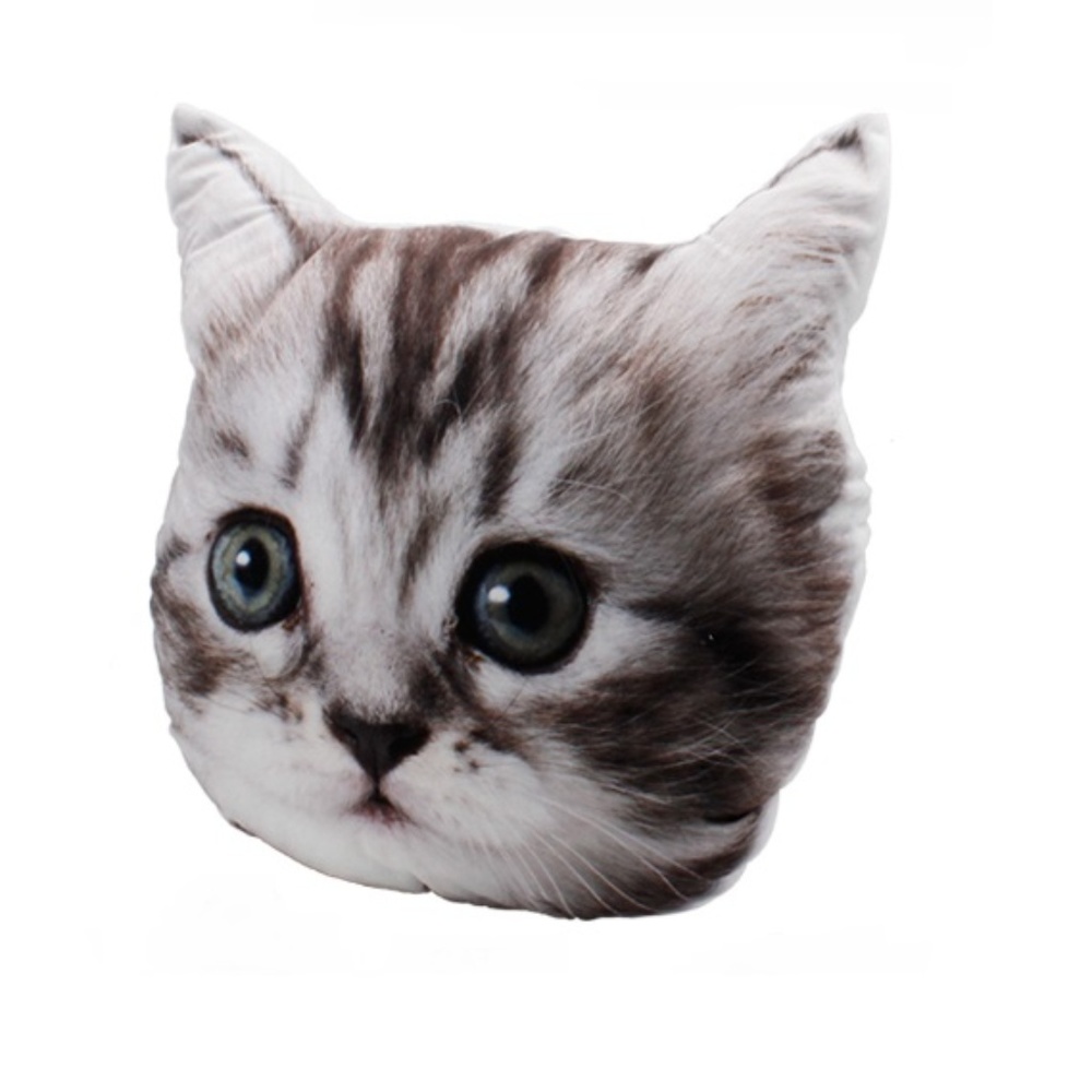 Kitten Pillow
